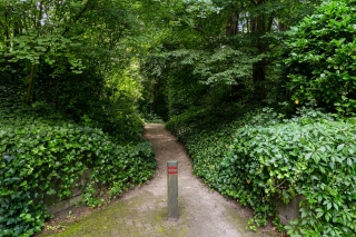 Wilbertsheem 12 WAALRE
