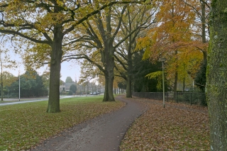 Laan van Borgele 40 F 408 DEVENTER