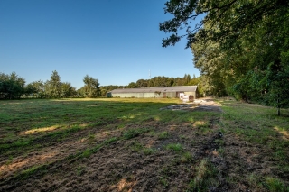 Lindenlaan 58a Bellingwolde