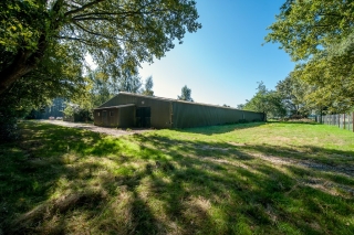 Lindenlaan 58a Bellingwolde