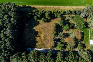 Lindenlaan 58a Bellingwolde