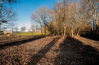 B.L. Tijdensweg 10 Bellingwolde