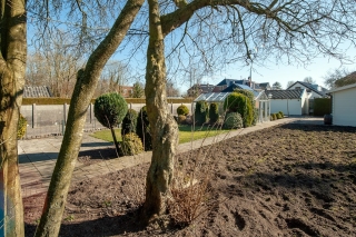 Goldhoorn 5 Oostwold