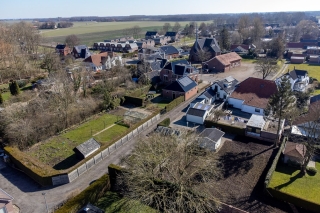 Goldhoorn 5 Oostwold