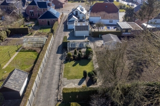 Goldhoorn 5 Oostwold