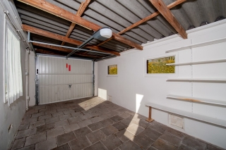 Goldhoorn 5 Oostwold