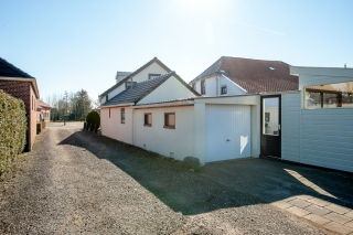 Goldhoorn 5 Oostwold