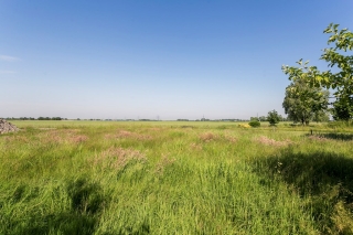 Industrieweg 11 Loppersum