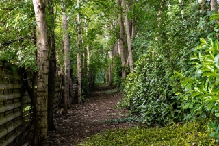 Hof ter Weydeweg 16 Vleuten