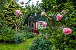 Verbindingsweg 11 Veelerveen