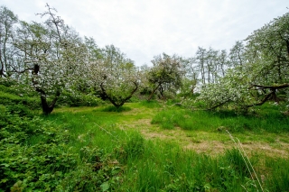 Zuiderveen 40 Winschoten