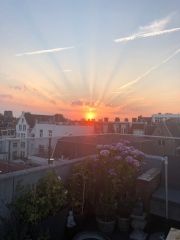 Bloemstraat 1163 Amsterdam