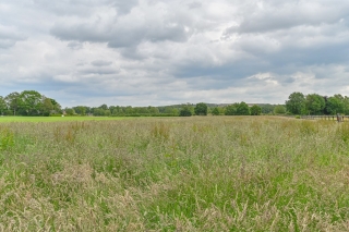 Dalmsholterdijk 3 Dalmsholte