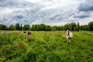 Kromme Elleboog 12 Oostwold