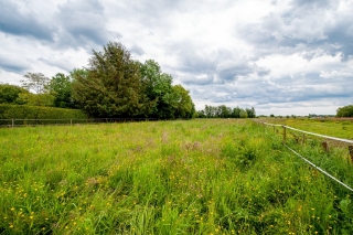 Kromme Elleboog 12 Oostwold