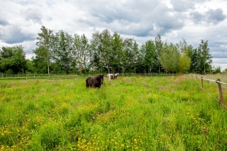Kromme Elleboog 12 Oostwold