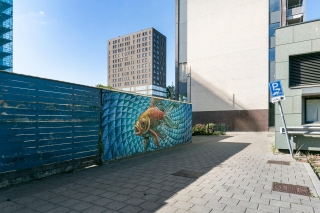 Platinalaan 507 GRONINGEN