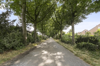Warmelo 86 EINDHOVEN
