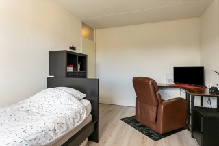 Havik 66 Ommen