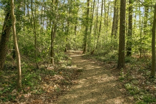 Spetsebrugweg