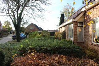 Troostlaan 1 Wagenborgen