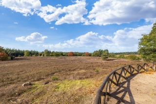 Dennenhoekweg 15 Lemele