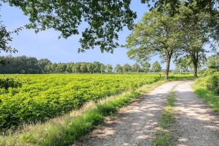 Vilsterseweg 1 A34 Vilsteren