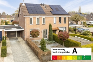 Houtduif 12 Ommen