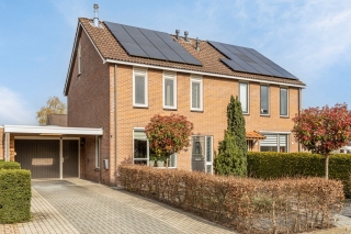 Houtduif 12 Ommen