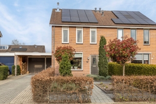 Houtduif 12 Ommen