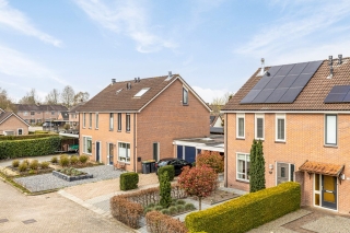 Houtduif 12 Ommen