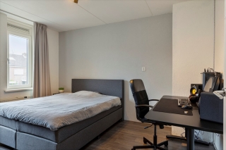 Houtduif 12 Ommen
