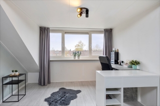 Houtduif 12 Ommen