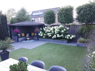 Houtduif 12 Ommen