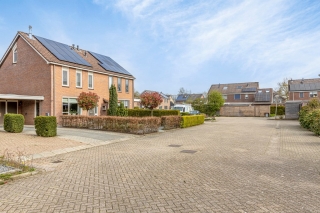 Houtduif 12 Ommen