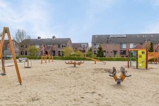 Houtduif 12 Ommen