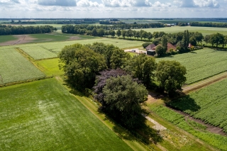 Molenkampweg 16 Vlagtwedde