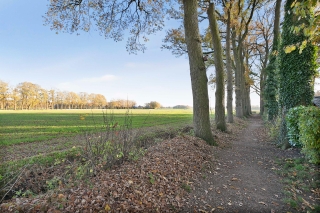 Meester Hodesstraat 24 BORNERBROEK