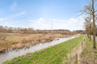 Eikebladvlinder 1 ENSCHEDE