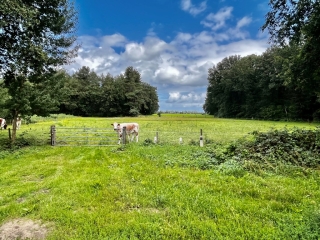 Hessenweg West 14 A Ommen