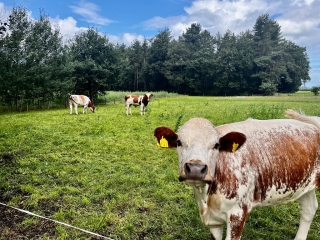 Hessenweg West 14 A Ommen