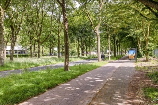 Laan van Borgele 40 F 707 DEVENTER