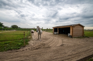 Hoofdkanaal OZ 109 Emmer-Compascuum