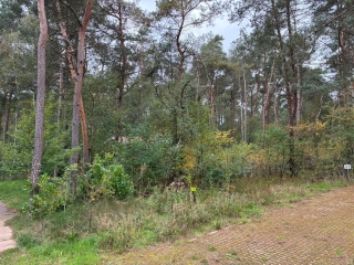 Hogeveldsweg 26 R303 Giethmen
