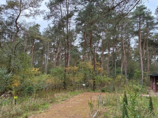 Hogeveldsweg 26 R303 Giethmen