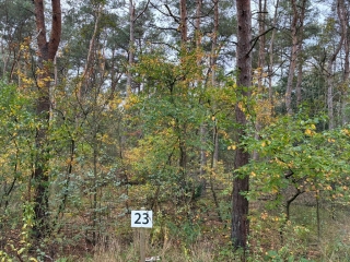 Hogeveldsweg 26 R303 Giethmen