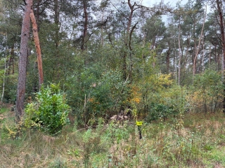 Hogeveldsweg 26 R303 Giethmen
