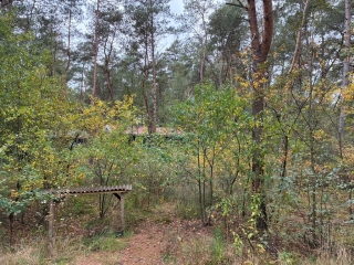 Hogeveldsweg 26 R303 Giethmen