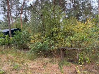 Hogeveldsweg 26 R303 Giethmen
