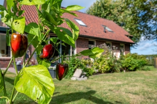 Jipsingboertangerweg 143 Sellingen